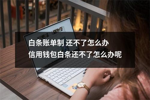 白条账单制 还不了怎么办 信用钱包白条还不了怎么办呢
