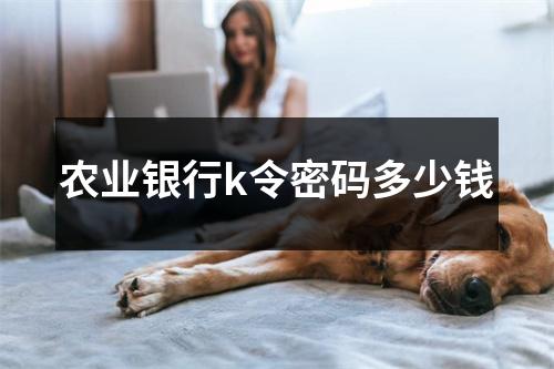 农业银行k令密码多少钱