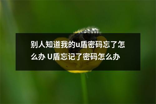 别人知道我的u盾密码忘了怎么办 U盾忘记了密码怎么办