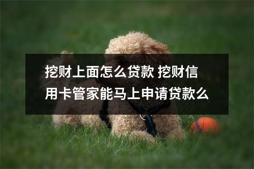 挖财上面怎么贷款 挖财信用卡管家能马上申请贷款么