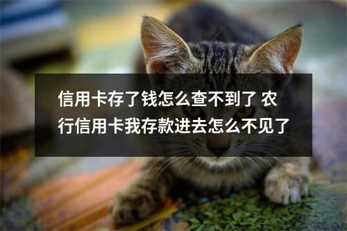 信用卡存了钱怎么查不到了 农行信用卡我存款进去怎么不见了