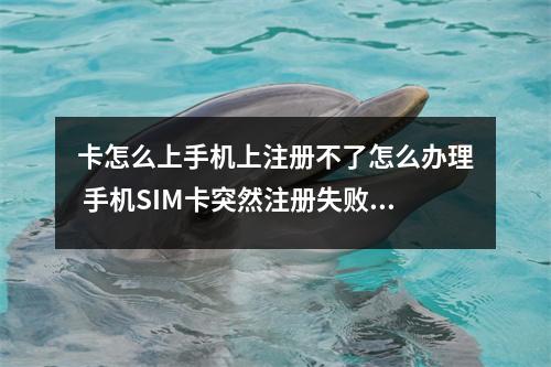 卡怎么上手机上注册不了怎么办理 手机SIM卡突然注册失败怎么办
