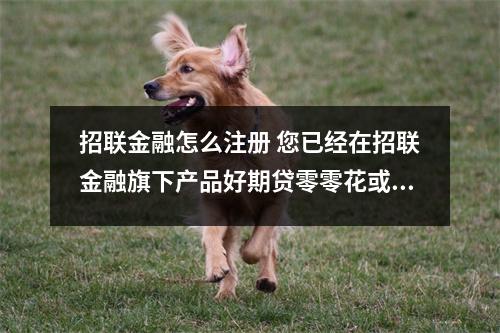 招联金融怎么注册 您已经在招联金融旗下产品好期贷零零花或沃支付已进行了实名认证