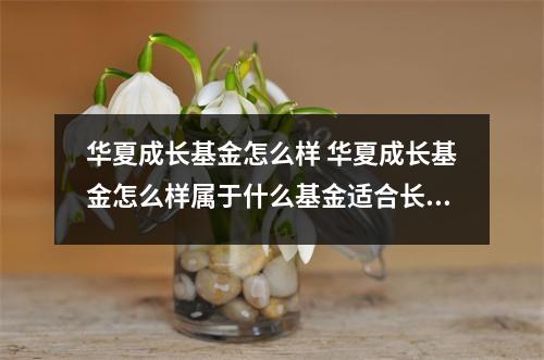 华夏成长基金怎么样 华夏成长基金怎么样属于什么基金适合长期持有吗