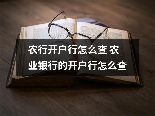 农行开户行怎么查 农业银行的开户行怎么查
