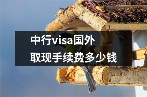 中行visa国外取现手续费多少钱