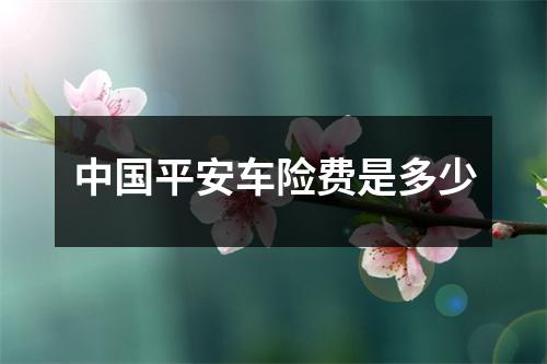 中国平安车险费是多少