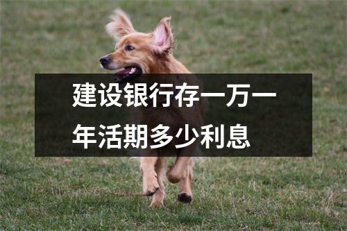 建设银行存一万一年活期多少利息