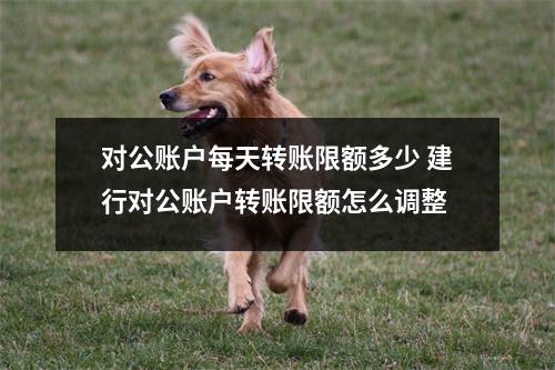 对公账户每天转账限额多少 建行对公账户转账限额怎么调整