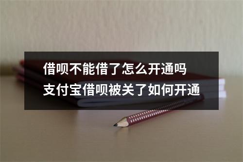 借呗不能借了怎么开通吗 支付宝借呗被关了如何开通