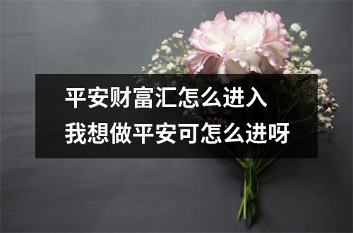 平安财富汇怎么进入 我想做平安可怎么进呀