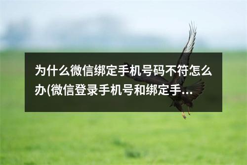 为什么微信绑定手机号码不符怎么办(微信登录手机号和绑定手机号不符)
