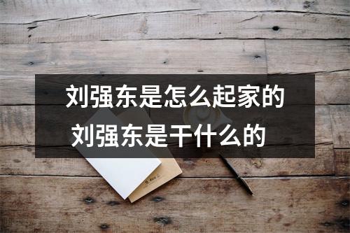 刘强东是怎么起家的 刘强东是干什么的