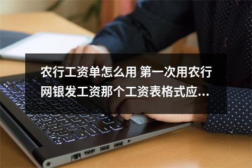 农行工资单怎么用 第一次用农行网银发工资那个工资表格式应该怎样转换麻烦知道