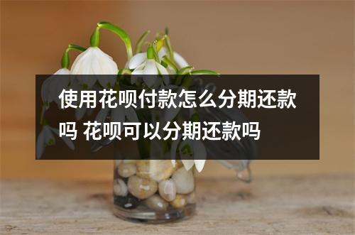 使用花呗付款怎么分期还款吗 花呗可以分期还款吗