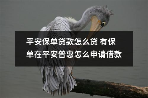 平安保单贷款怎么贷 有保单在平安普惠怎么申请借款