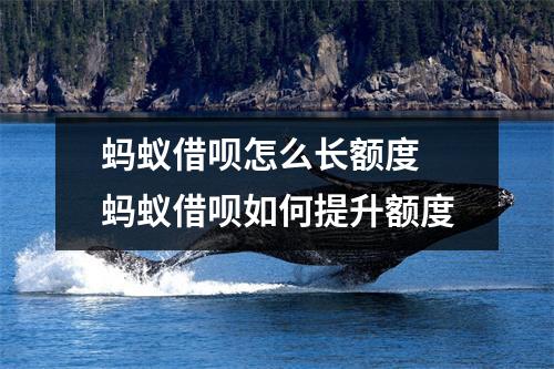 蚂蚁借呗怎么长额度 蚂蚁借呗如何提升额度