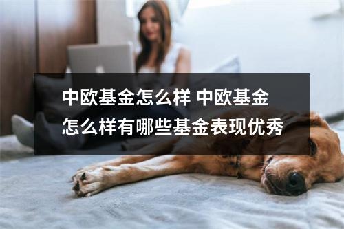 中欧基金怎么样 中欧基金怎么样有哪些基金表现优秀