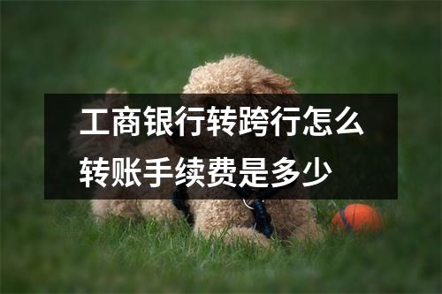 工商银行转跨行怎么转账手续费是多少
