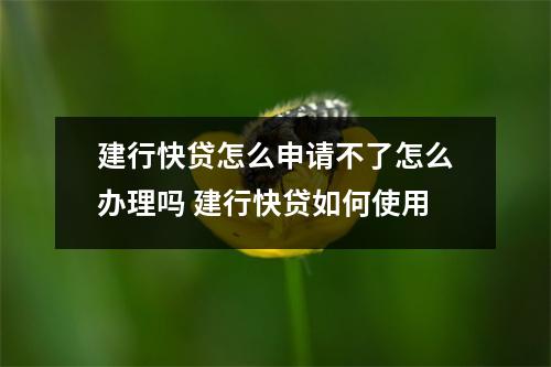 建行快贷怎么申请不了怎么办理吗 建行快贷如何使用
