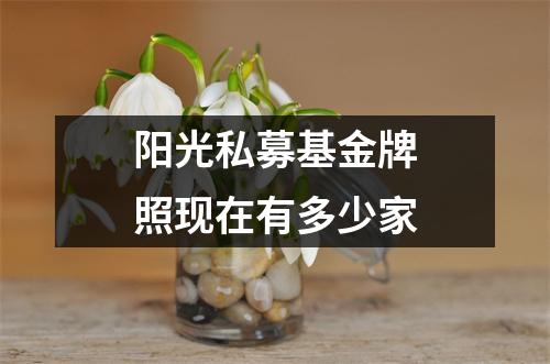 阳光私募基金牌照现在有多少家