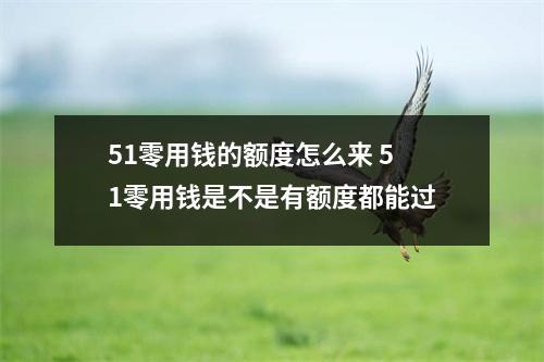 51零用钱的额度怎么来 51零用钱是不是有额度都能过