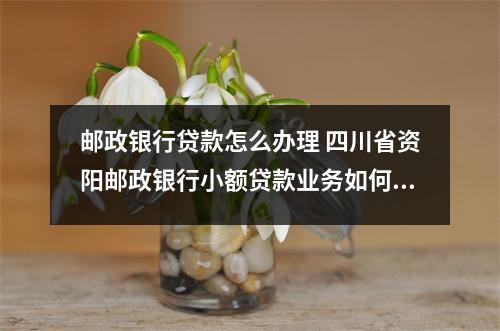 邮政银行贷款怎么办理 四川省资阳邮政银行小额贷款业务如何办理