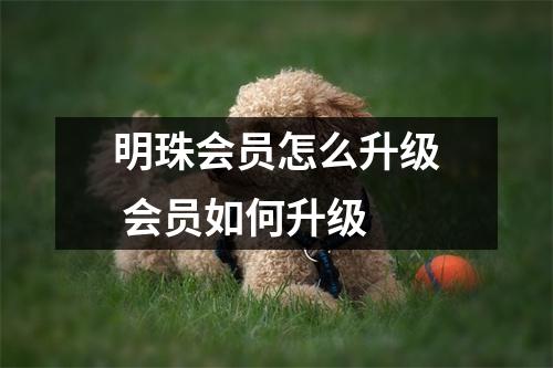 明珠会员怎么升级 会员如何升级