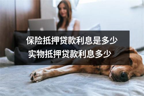 保险抵押贷款利息是多少 实物抵押贷款利息多少