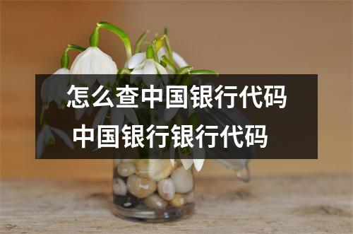 怎么查中国银行代码 中国银行银行代码