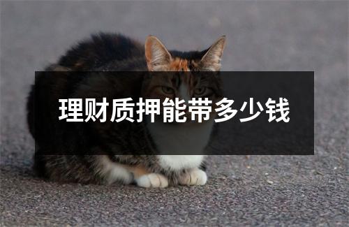 理财质押能带多少钱