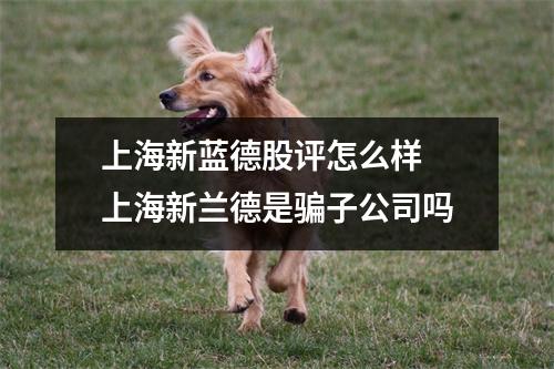 上海新蓝德股评怎么样 上海新兰德是骗子公司吗