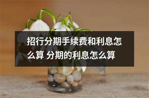 招行分期手续费和利息怎么算 分期的利息怎么算