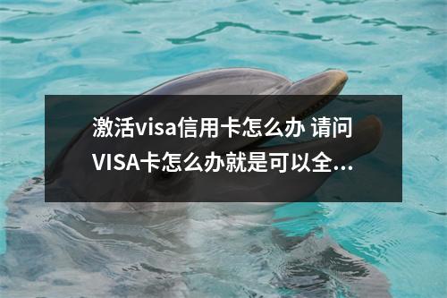 激活visa信用卡怎么办 请问VISA卡怎么办就是可以全球刷的信用卡