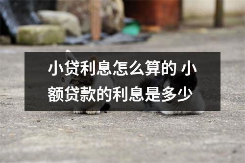 小贷利息怎么算的 小额贷款的利息是多少