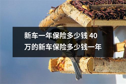 新车一年保险多少钱 40万的新车保险多少钱一年