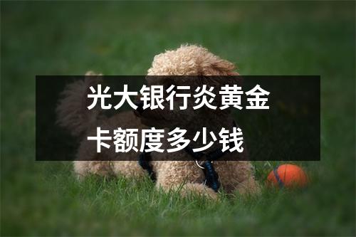 光大银行炎黄金卡额度多少钱