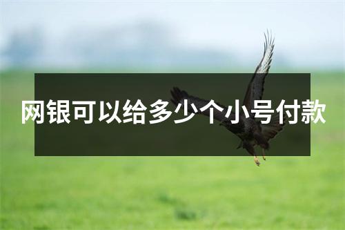 网银可以给多少个小号付款