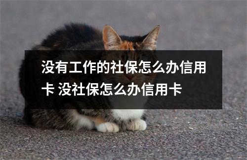 没有工作的社保怎么办信用卡 没社保怎么办信用卡