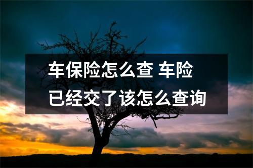车保险怎么查 车险已经交了该怎么查询