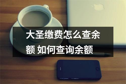 大圣缴费怎么查余额 如何查询余额