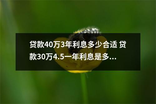贷款40万3年利息多少合适 贷款30万4.5一年利息是多少