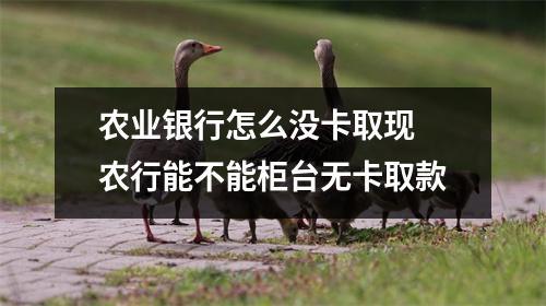 农业银行怎么没卡取现 农行能不能柜台无卡取款