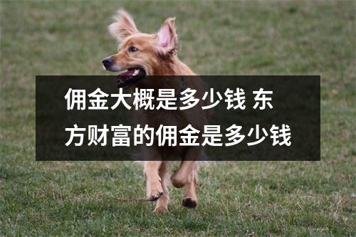 佣金大概是多少钱 东方财富的佣金是多少钱