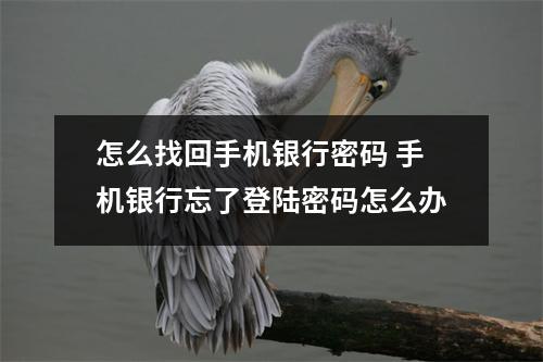 怎么找回手机银行密码 手机银行忘了登陆密码怎么办