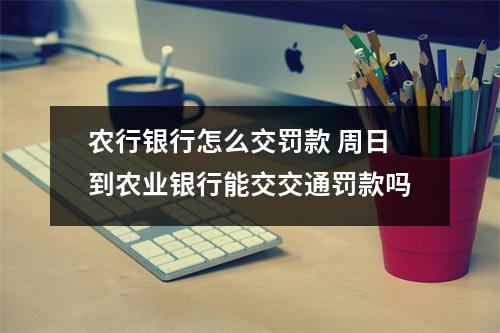 农行银行怎么交罚款 周日到农业银行能交交通罚款吗