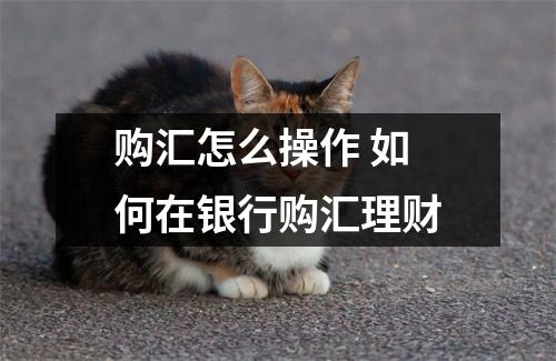 购汇怎么操作 如何在银行购汇理财