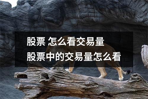 股票 怎么看交易量 股票中的交易量怎么看
