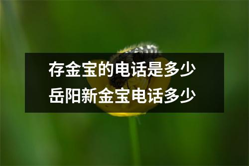 存金宝的电话是多少 岳阳新金宝电话多少