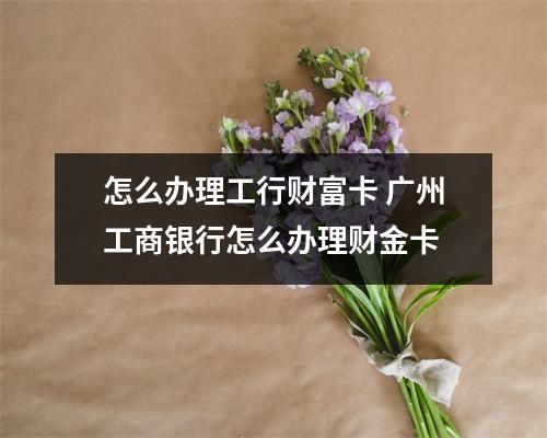 怎么办理工行财富卡 广州工商银行怎么办理财金卡